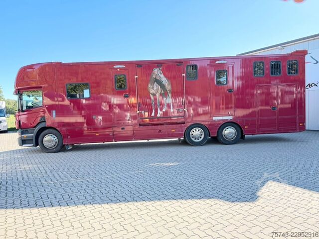 Camião para gado SCANIA P320 EHC Aufbau 6-7 Pferde Wohnung