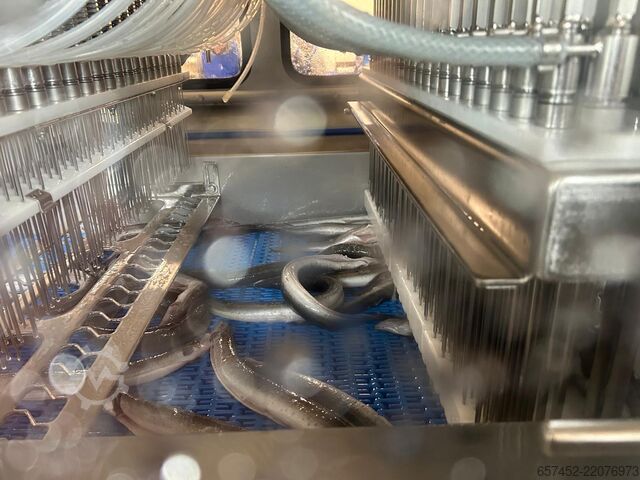 Injeção de carne Fomaco FGM 88 DC M3