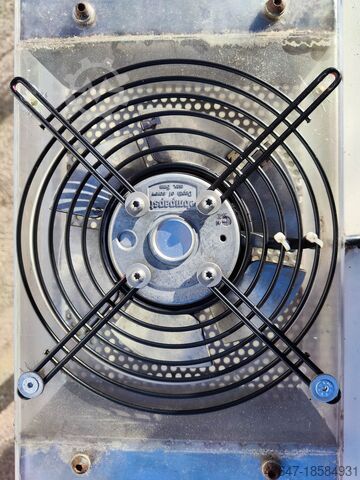 Transportband 6m Mass iNTERNATIONAL NP / 04270