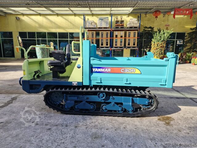 Rupsdumper yanmar C30R