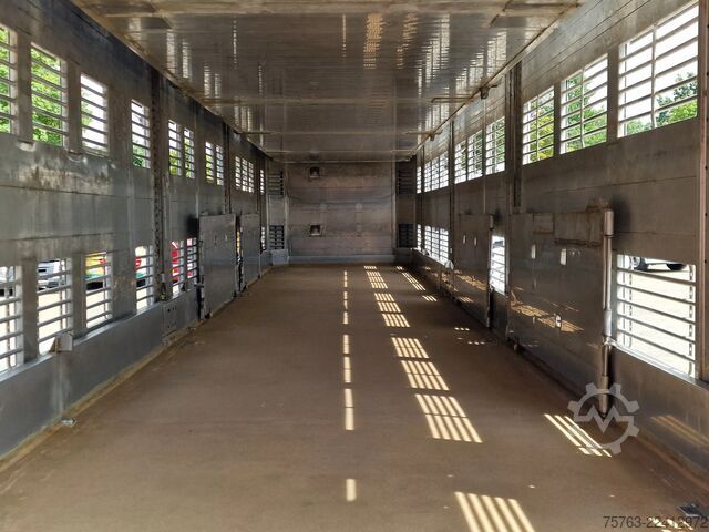 Transporte de ganado Finkl 3 deck - lift- water - vans - steering axle