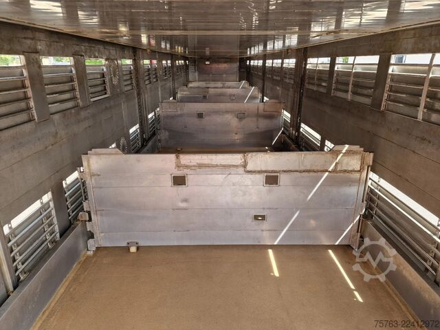 Transporte de ganado Finkl 3 deck - lift- water - vans - steering axle