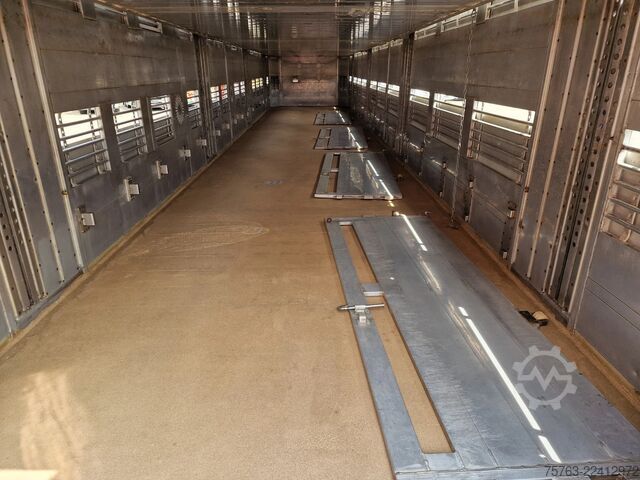 Transporte de ganado Finkl 3 deck - lift- water - vans - steering axle