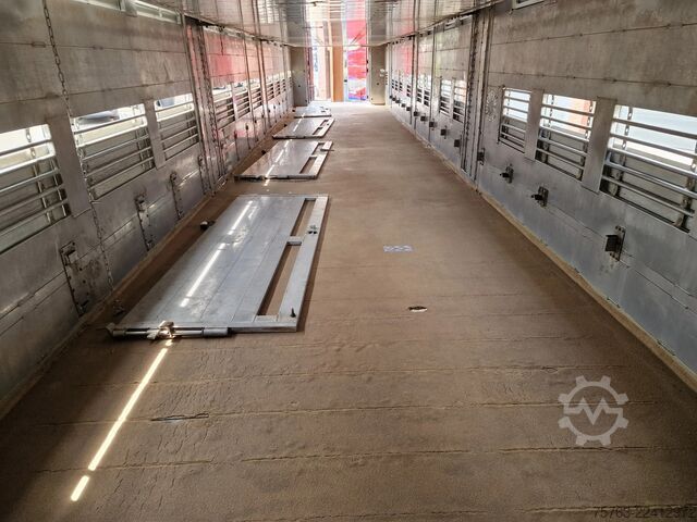 Transporte de ganado Finkl 3 deck - lift- water - vans - steering axle