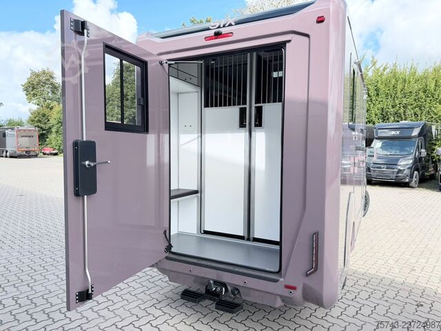 Transportador de gado RENAULT Master STX 5 Sitzer Haras ex. Lang Automatik
