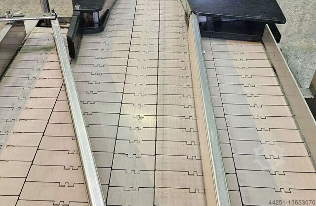 Pneumatic feeder Accumulating conveyor Pamasol 5934