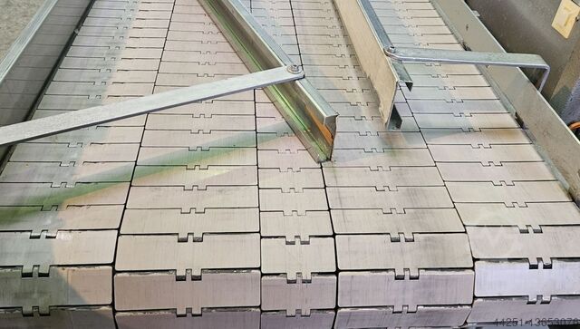 Pneumatic feeder Accumulating conveyor Pamasol 5934