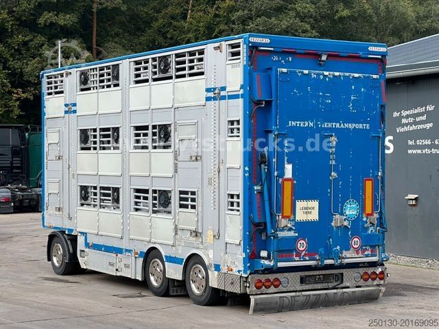 Horse transport trailer PEZZIOLI RBA31 3.Stock Viehanhänger, Hubdach, Tränke