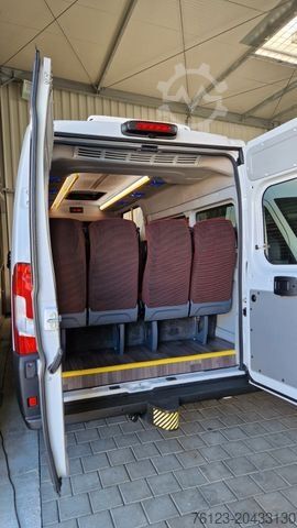 Minibus FIAT Ducato Opel Movano bis 18 SS in Stock