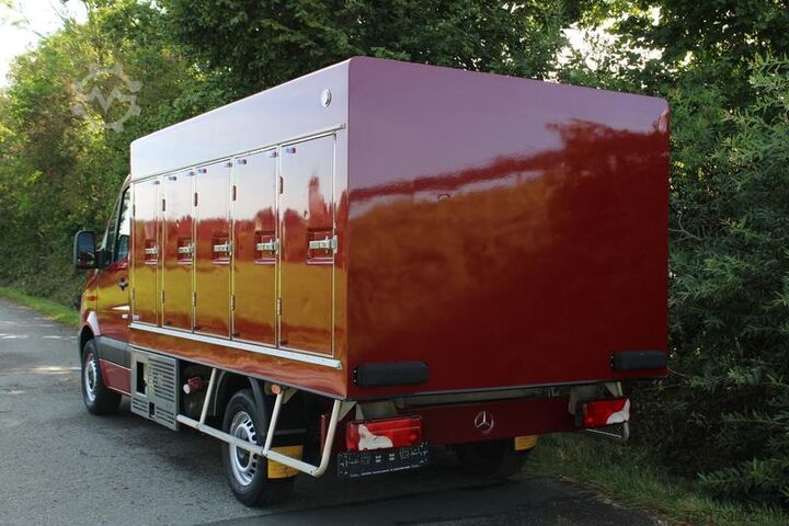 Ψυγειοφόρο βαν MERCEDES-BENZ Sprinter 310 Cold Car -33°C ATP 05/28