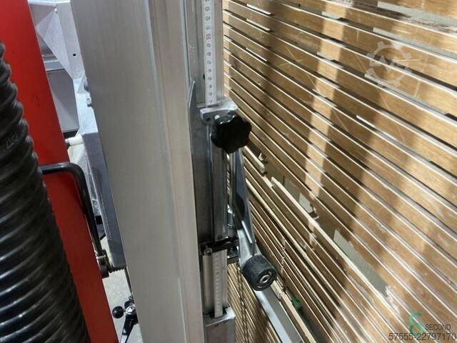 Serra vertical de painéis Striebig Standard III TRK 6220 A, ano 2001 Striebig Standard III TRK 6220 A