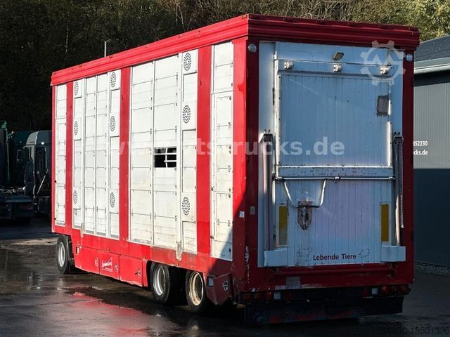 Pferdeanhänger  Stehmann ADV 24 3-Stock Viehtransporter