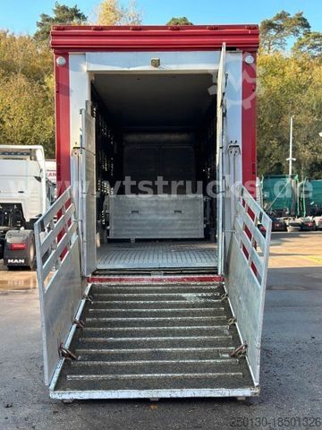Pferdeanhänger  Stehmann ADV 24 3-Stock Viehtransporter