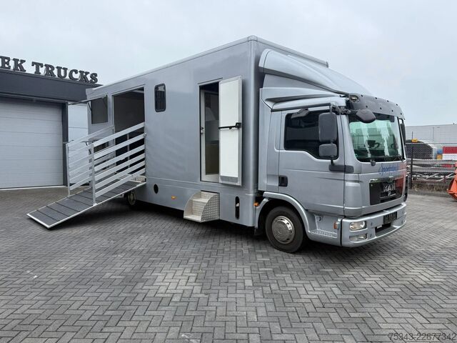 At taşımacılığı MAN | Horse Truck | Year: 2011 | KM: 312.257 | 5 Ho...