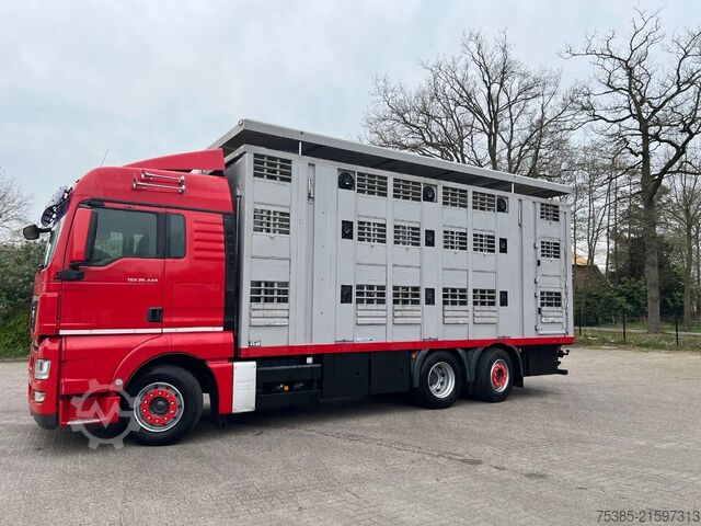 Veetransport MAN TGX 26.440 6x2/4 Menke Livestock Veewagen Gross...