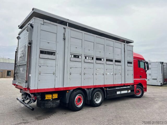 Veetransport MAN TGX 26.440 6x2/4 Menke Livestock Veewagen Gross...