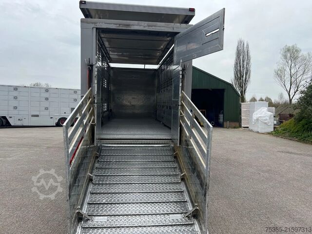 Veetransport MAN TGX 26.440 6x2/4 Menke Livestock Veewagen Gross...