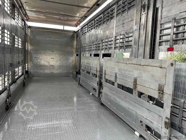 Veetransport MAN TGX 26.440 6x2/4 Menke Livestock Veewagen Gross...