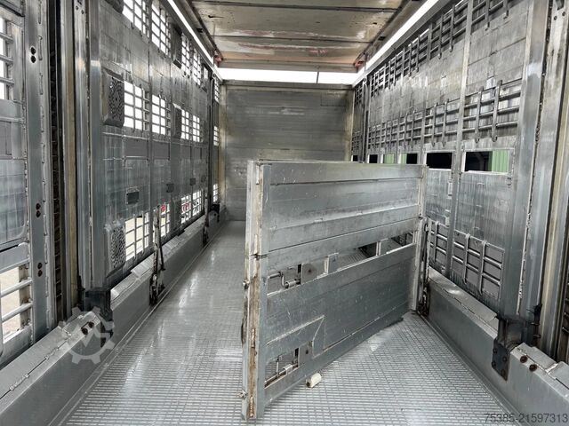 Veetransport MAN TGX 26.440 6x2/4 Menke Livestock Veewagen Gross...