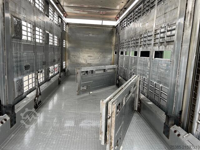 Veetransport MAN TGX 26.440 6x2/4 Menke Livestock Veewagen Gross...