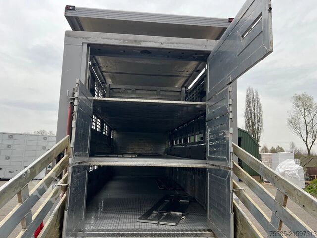 Veetransport MAN TGX 26.440 6x2/4 Menke Livestock Veewagen Gross...