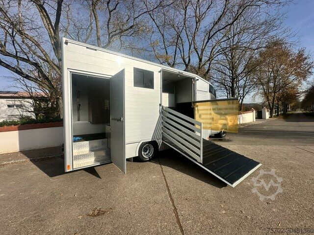 Viehtransporter Iveco Daily 2 Pferde Automatik, AHK