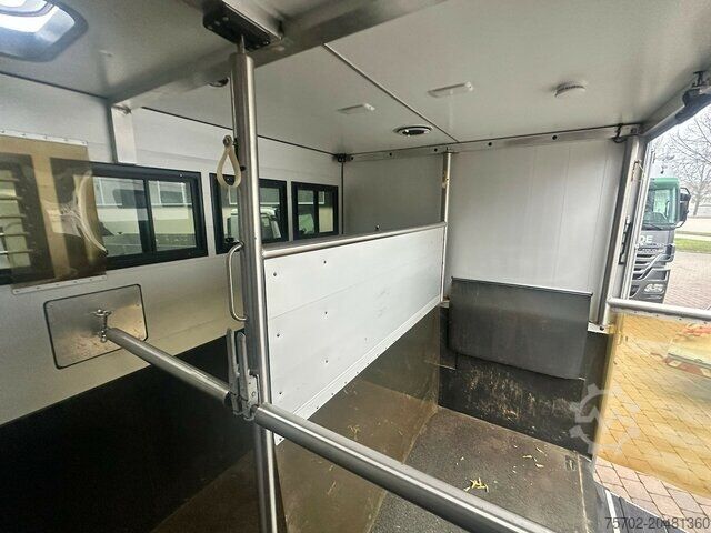 Veetransporter Iveco Daily 2 Pferde Automatik, AHK