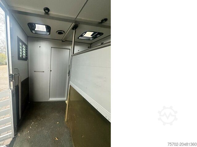 Viehtransporter Iveco Daily 2 Pferde Automatik, AHK