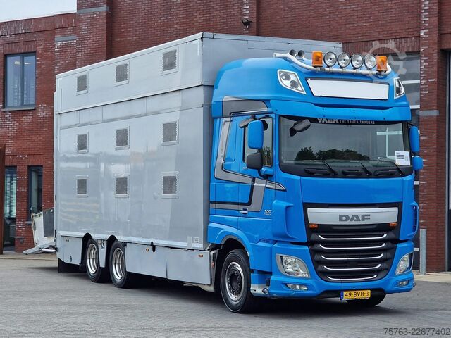 Veetransport DAF XF 510 6x2 SuperSpaceCab - Livestock Cuppers 3 ...