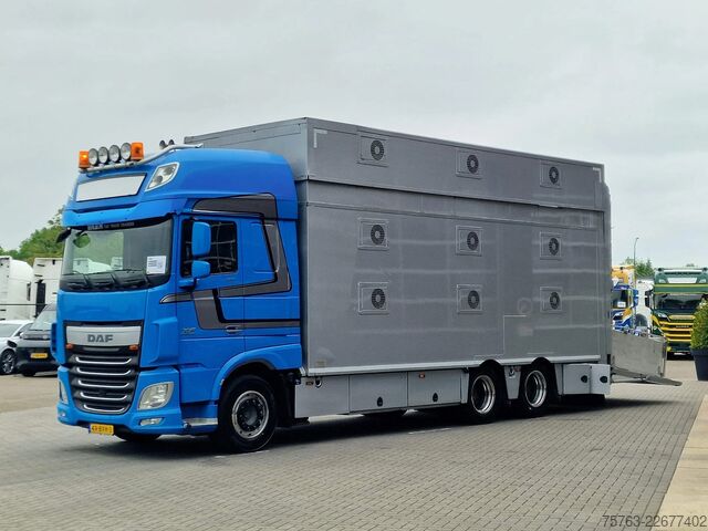Veetransport DAF XF 510 6x2 SuperSpaceCab - Livestock Cuppers 3 ...
