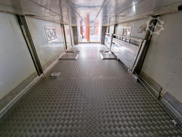 Transport af kvæg DAF XF 510 6x2 SuperSpaceCab - Livestock Cuppers 3 ...