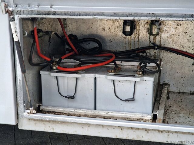 Transport af kvæg DAF XF 510 6x2 SuperSpaceCab - Livestock Cuppers 3 ...