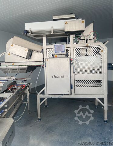 Visverwerkingsmachine Marel Speed batcher pakkestasjon SBL 300