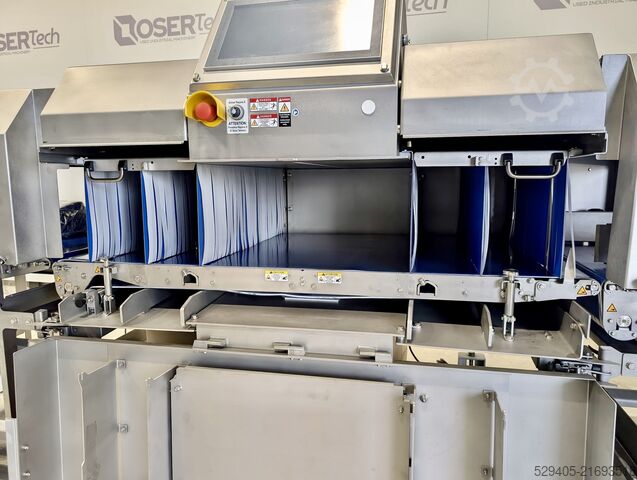 Röntgendetector Sesotec Raycon D+ HX 1400 / 660 / 450 / 250