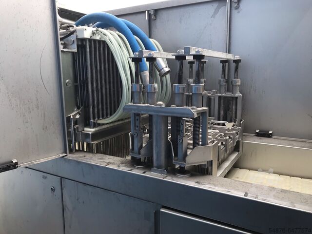 Injector with tenderizer FOMACO FGM 64/384-384