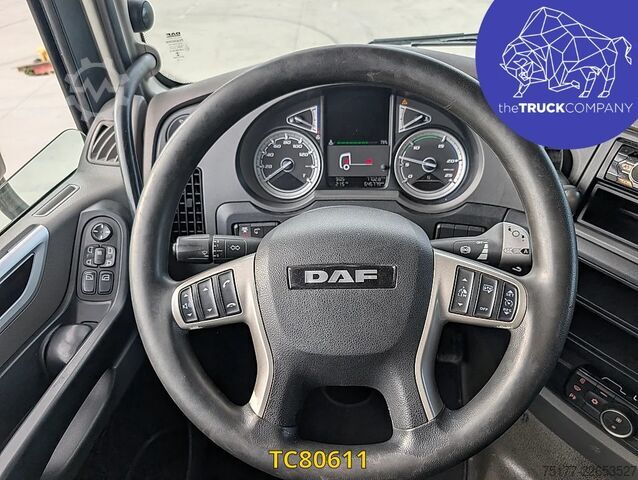 Padrão-SZM DAF XF 480