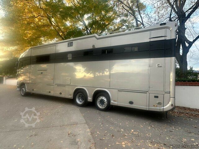 Camion per bestiame DAF XF 26510 5 Pferde Popout Mega Wohnung Womozul.