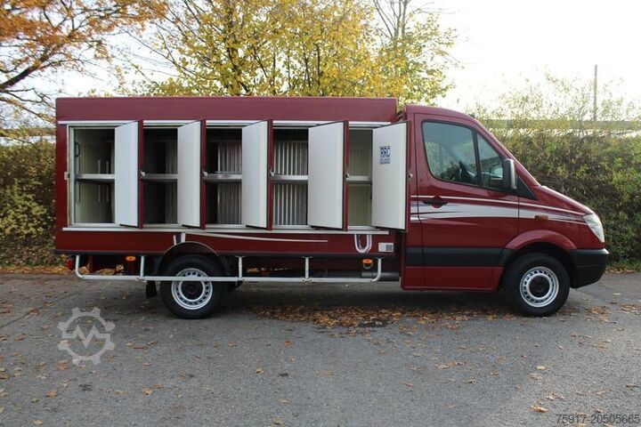 Soğutucu kasa panelvan MERCEDES-BENZ Sprinter 310  Cold Car -33°C