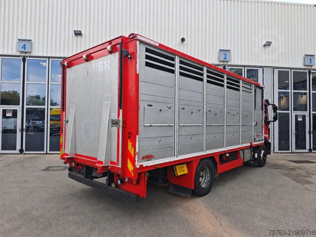 Transporte de gado Iveco Eurocargo 150.320 - Finkl Livestock box - Autom...