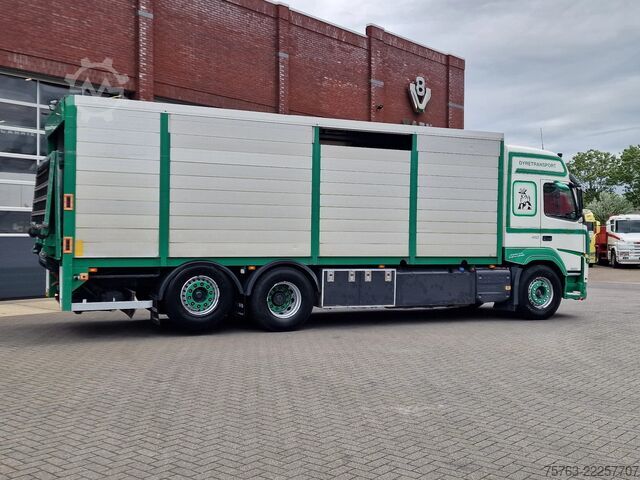 Veetransport Volvo FM 410 Globetrotter 6x2*4 - Livestock - Euro 6 ...