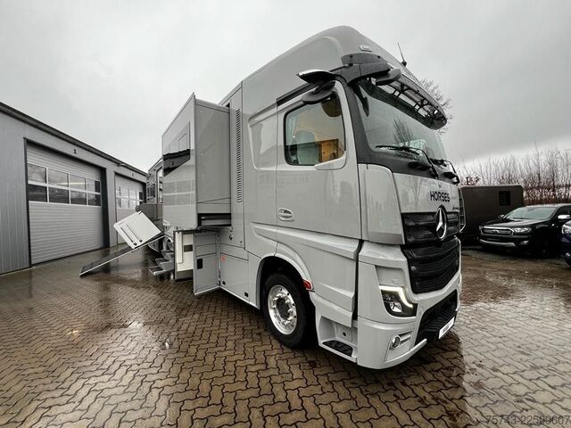 Camião para gado MERCEDES-BENZ 2651 STX 5 Pferde DOP. POP-OUT+POP-UP  EXKLUSIVE