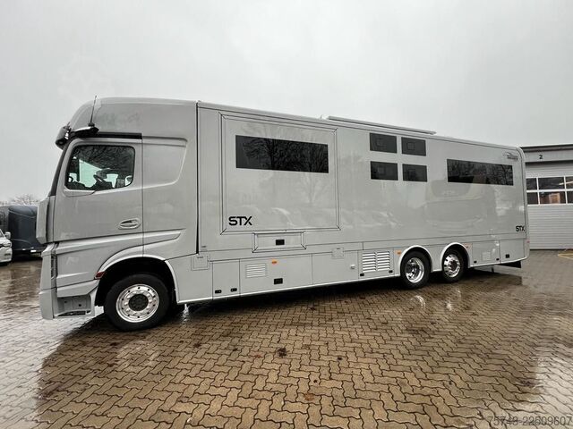 Camião para gado MERCEDES-BENZ 2651 STX 5 Pferde DOP. POP-OUT+POP-UP  EXKLUSIVE