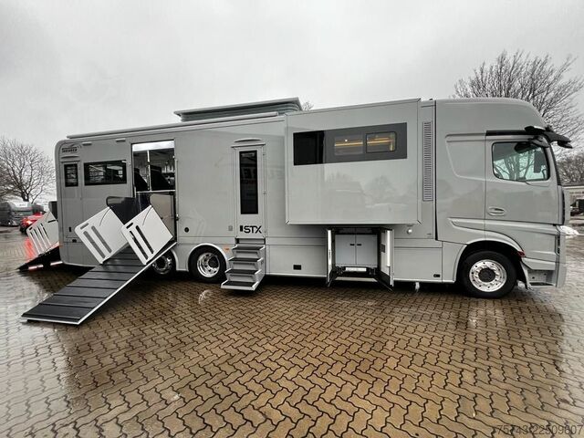 Camião para gado MERCEDES-BENZ 2651 STX 5 Pferde DOP. POP-OUT+POP-UP  EXKLUSIVE