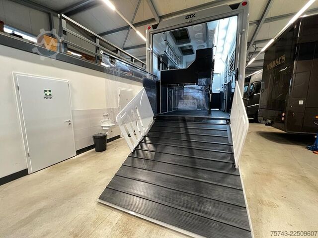 Camião para gado MERCEDES-BENZ 2651 STX 5 Pferde DOP. POP-OUT+POP-UP  EXKLUSIVE