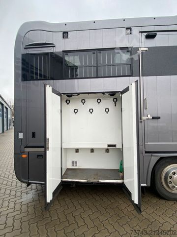 Boskapsbil MERCEDES-BENZ Actros 2651 STX  Pop-Out,  5 Pferde