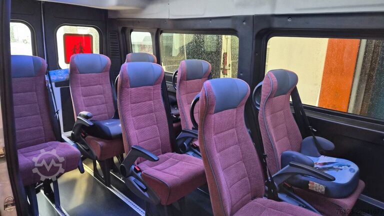 Minibüs FIAT Ducato 9 Sitzer Mobility Airlineboden Rolli
