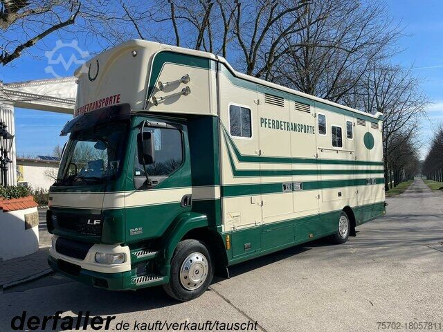 Kreaturvogn DAF LF 55250 Niehoffaufbau 6 Pferde