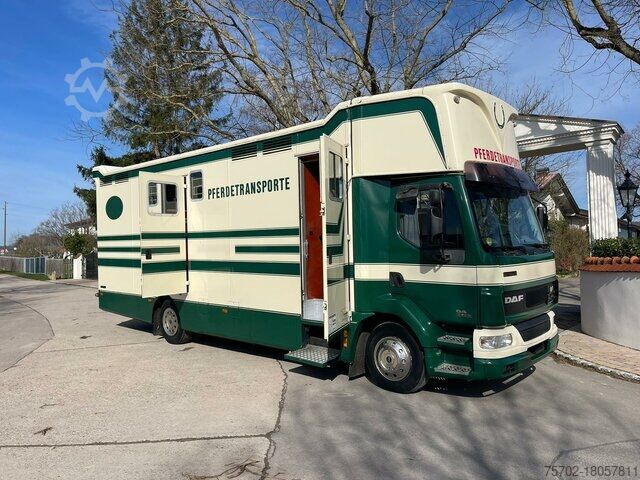 Kreaturvogn DAF LF 55250 Niehoffaufbau 6 Pferde