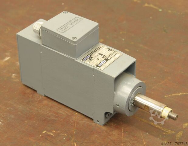 Motor para borde de máquinas de elaboración de fresado Perske VS 31.09-2