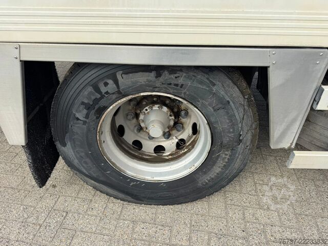 Transporte refrigerado/congelado Scania P94-260 **MANUAL PUMP-BELGIAN TRUCK-MEATHOOKS**